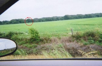 Original photograph from the vehicle; the subject is just too small to make any determination.