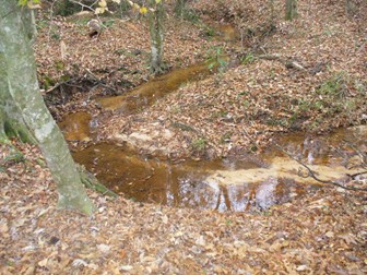 The small creek where the tracks were found.