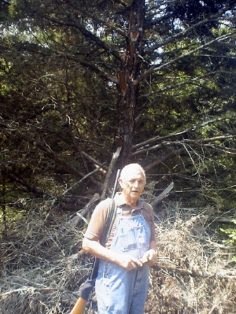 The witness's father, six feet tall, stands in front of the alleged nest.