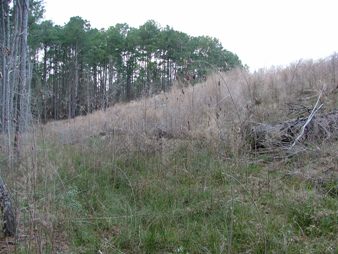 The meadow where the tracks were found.