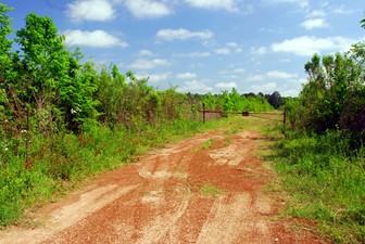 The witness stated that the subject disappeared into the darkness running down this red dirt road into private land.