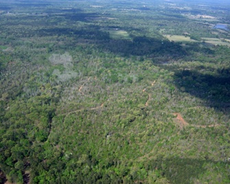 An aerial view of the area.