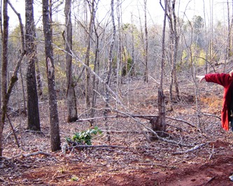 One of the witnesses points to the area where visual contact was first made. During the time of the alleged incident, the hardwoods would have been green with a full covering of leaves, as opposed to how they appear in this late winter photograph.