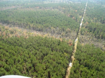 A current bird's eye view of the area near Highway 321.