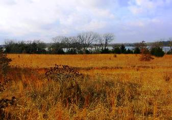 The area is largely comprised of prairie with intermittent timber.