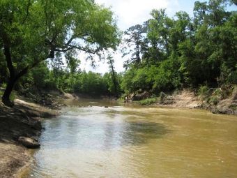 The Neches River forms the northern and eastern borders of Tyler County.
