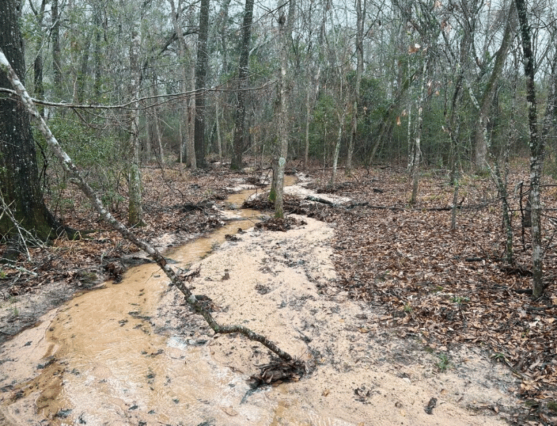 There are abundant creeks and streams on the property.