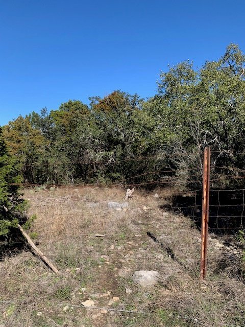 Five foot high barb wire fence where creature appeared to have entered after crossing road.